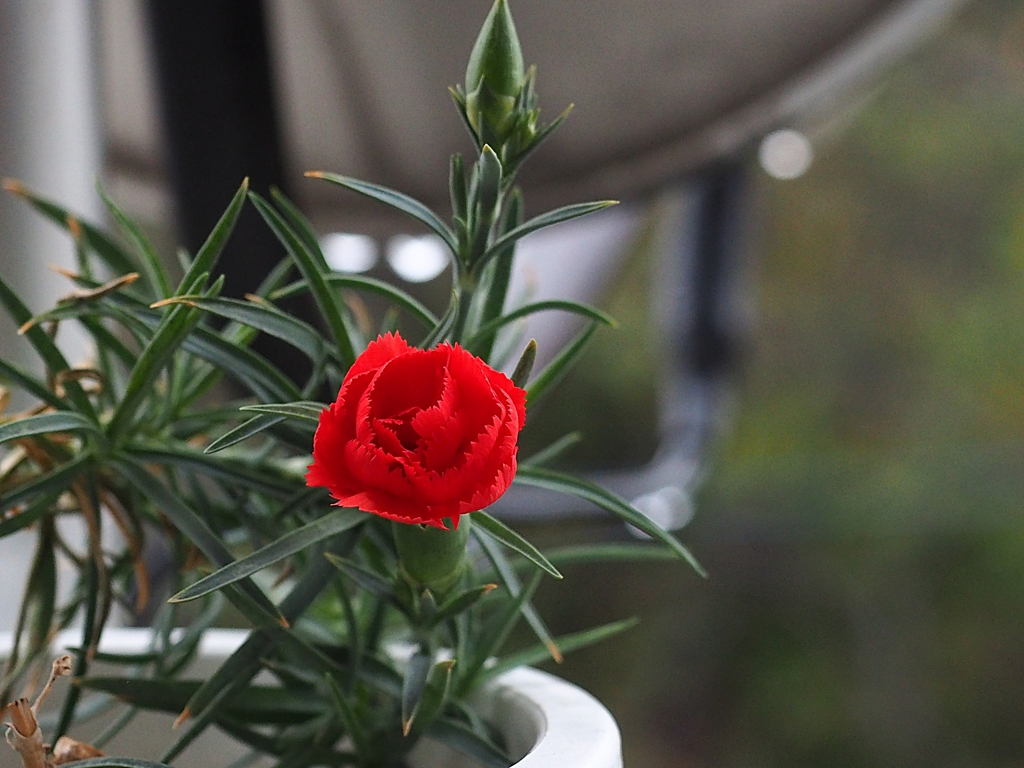 10月29日のThank You MaMa ♡