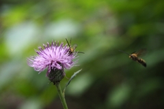 瞬時の迎撃態勢