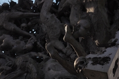 箱根彫刻の森⑥