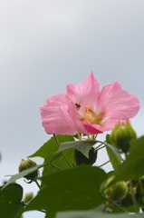 あなたなら大歓迎♪