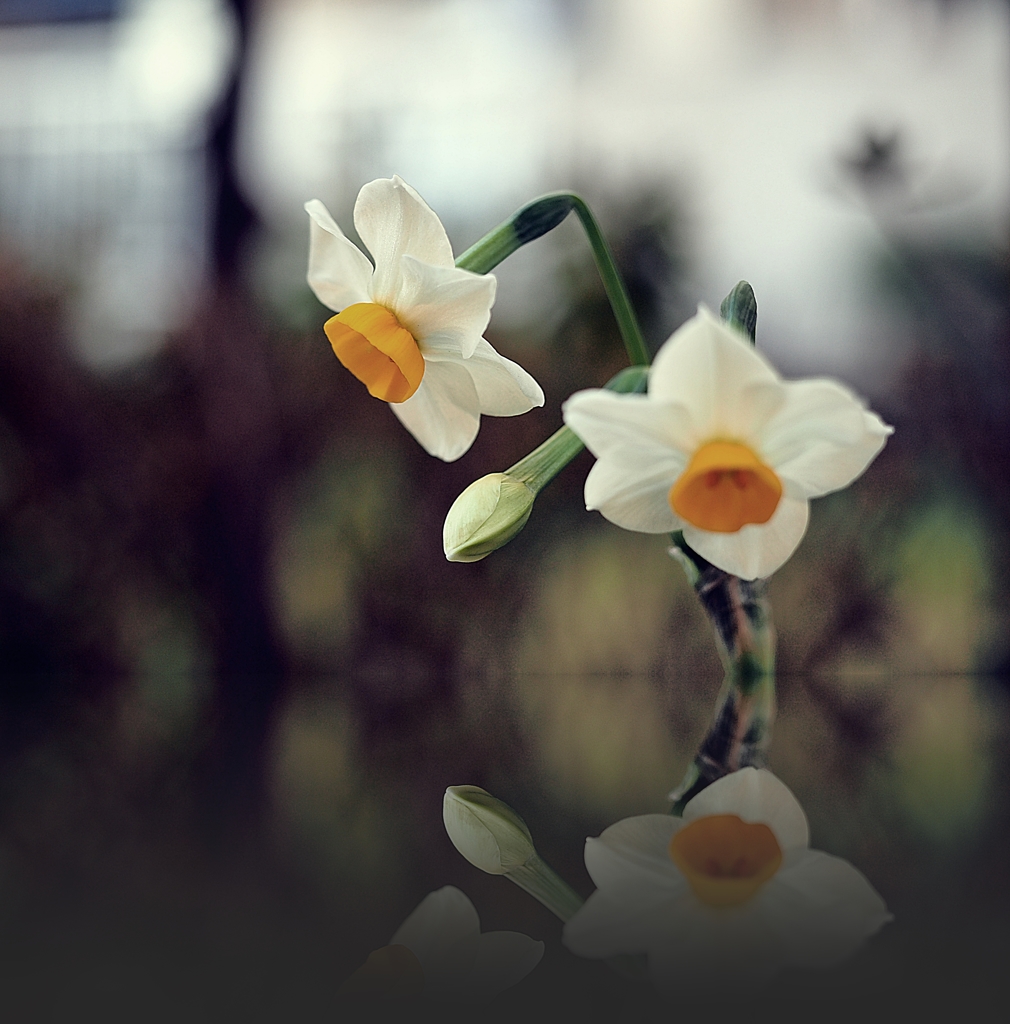 仲が良いのか？悪いのか？