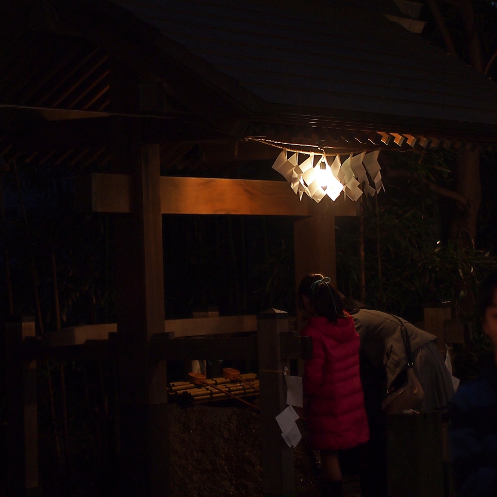 初詣に犬を連れて来るんじゃね～