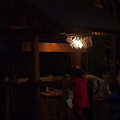 初詣に犬を連れて来るんじゃね～