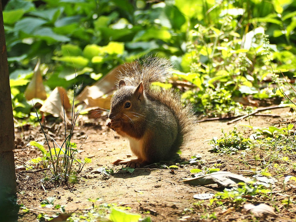 また来てね ♪