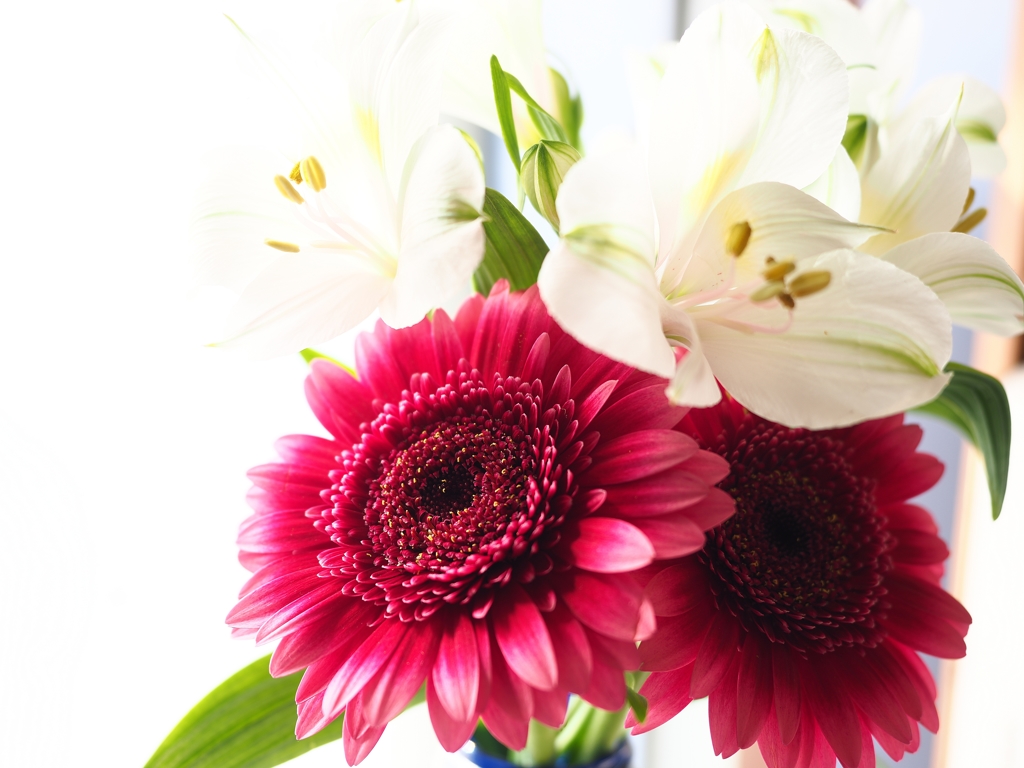 Monday Halloween ２