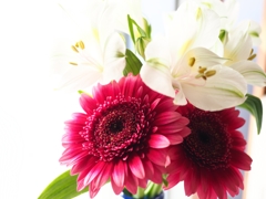 Monday Halloween ２