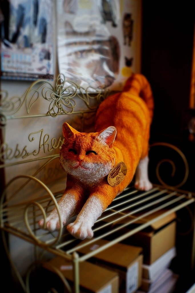谷中は猫の町
