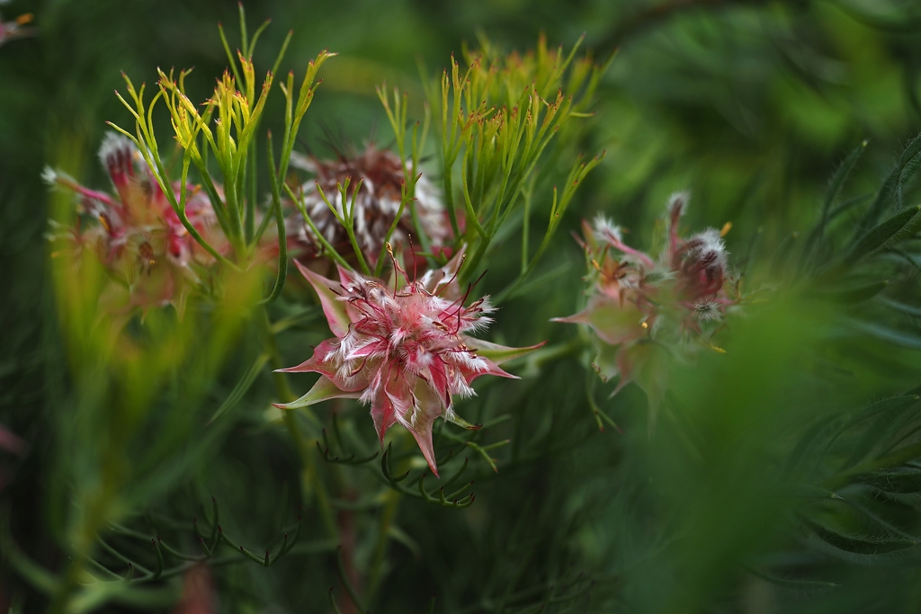 ワタシもオバサンになったな～～