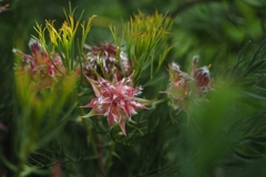 ワタシもオバサンになったな～～