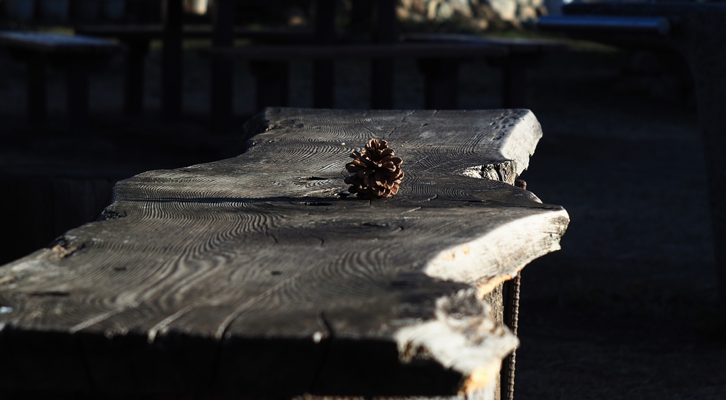 空母「松ボックリ」