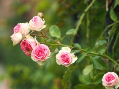 よぉーこそ～♪