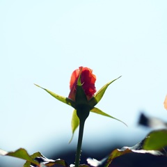 地球は偉大な修行の場である　２