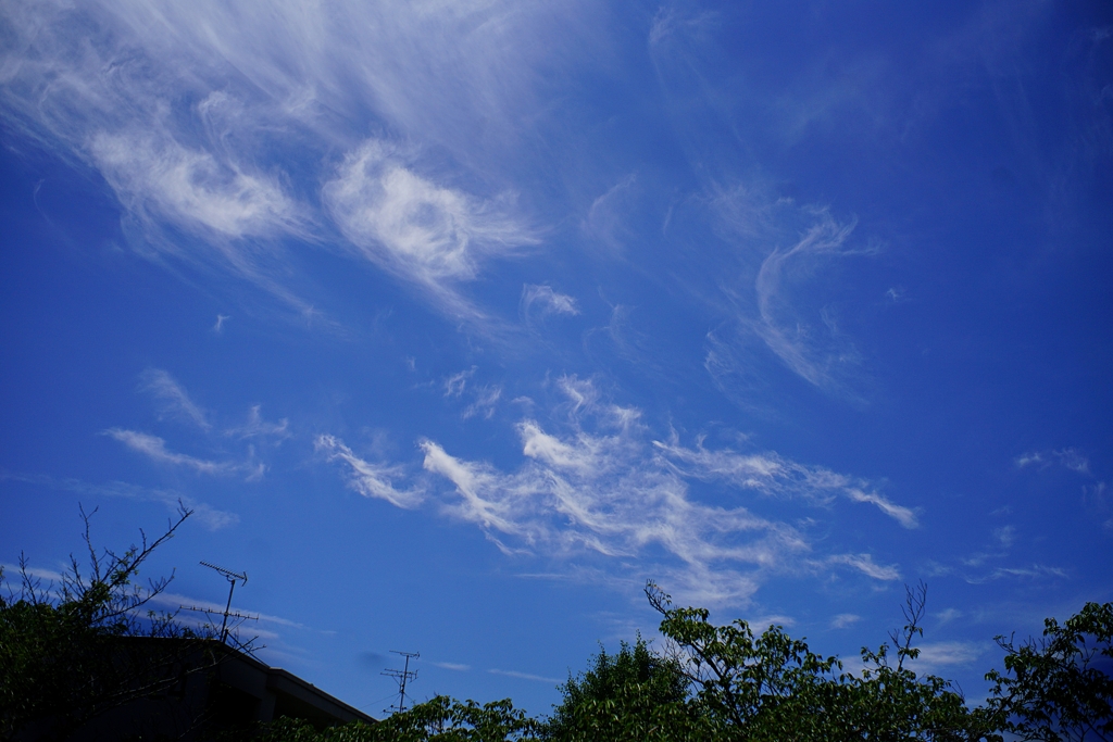 彩雲の予感
