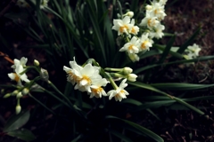 なぜ連鎖するのか？