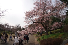 また会いに来ようね