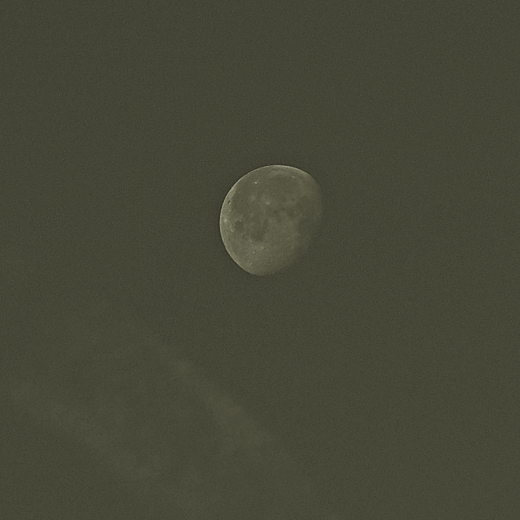 頑張れキットレンズ⑨