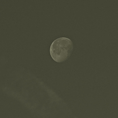 頑張れキットレンズ⑨