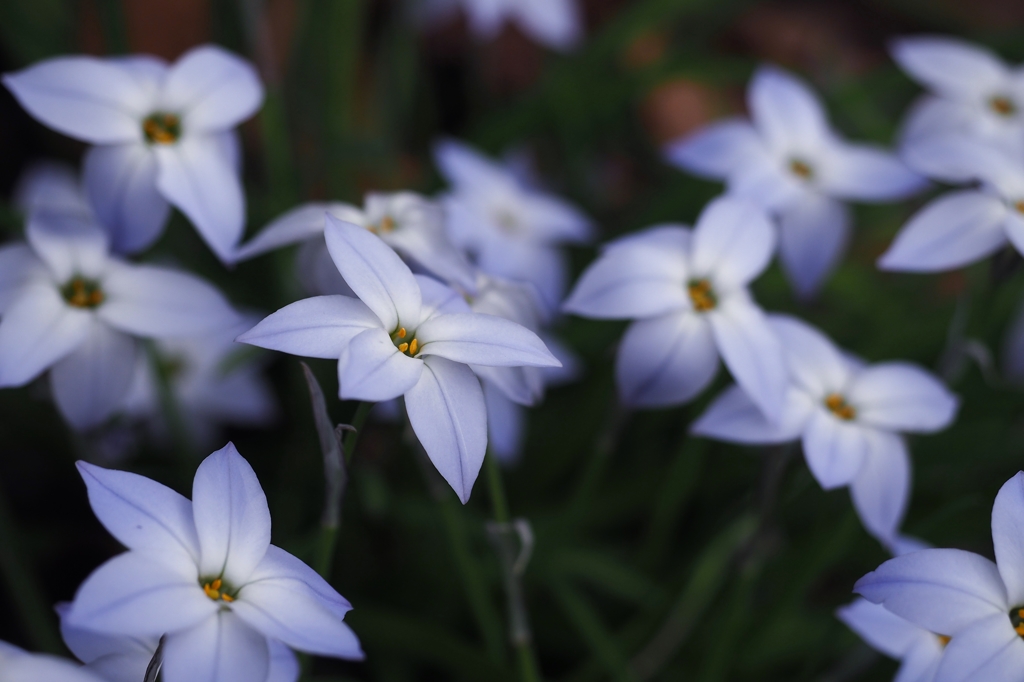 神様に愛されたら幸せな奇跡が起こりだす2
