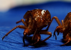 ポイント・ヘアカラー