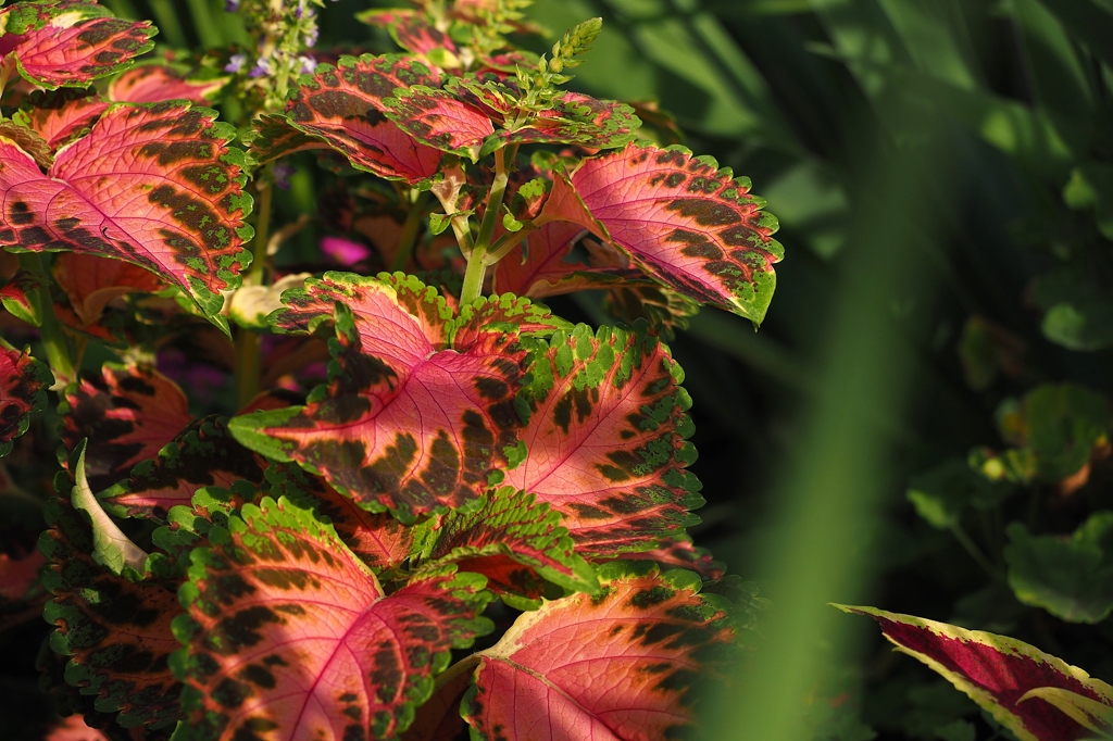 けじめは付けさせていただきます。