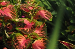 けじめは付けさせていただきます。