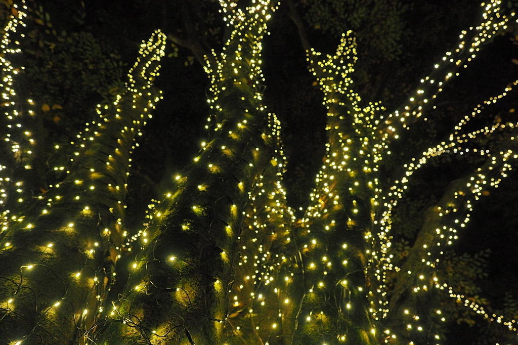 King Ghidorah in Komae