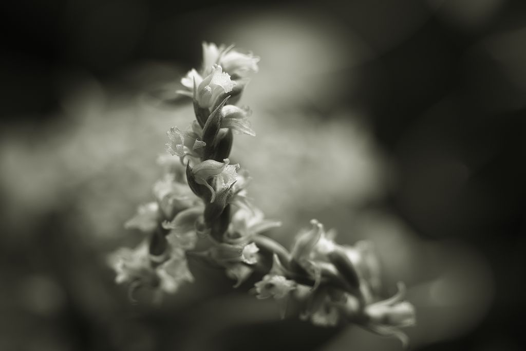 去り往くあなた２