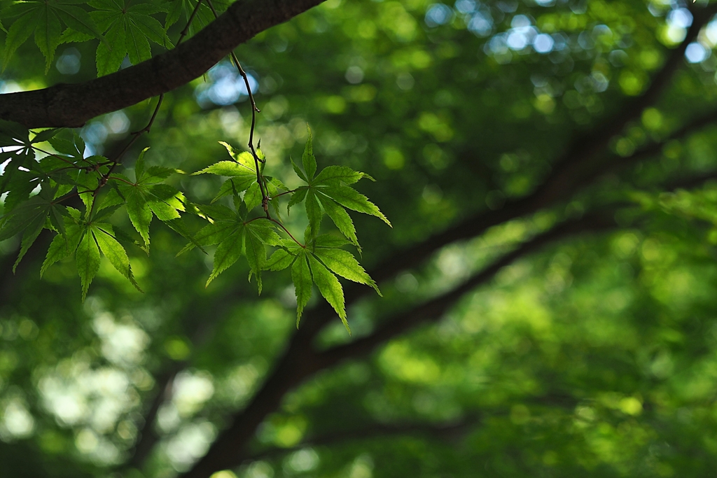 聖地巡礼？んなの知るかい