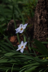 TOPは譲らない^^;