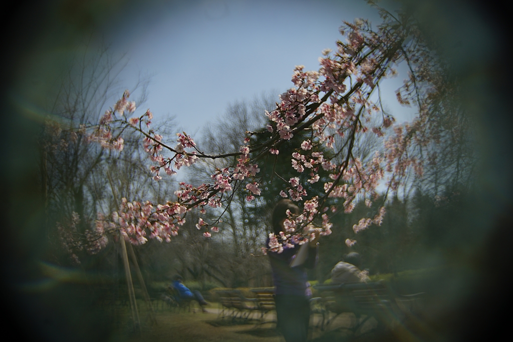 APS-C トリミングなし