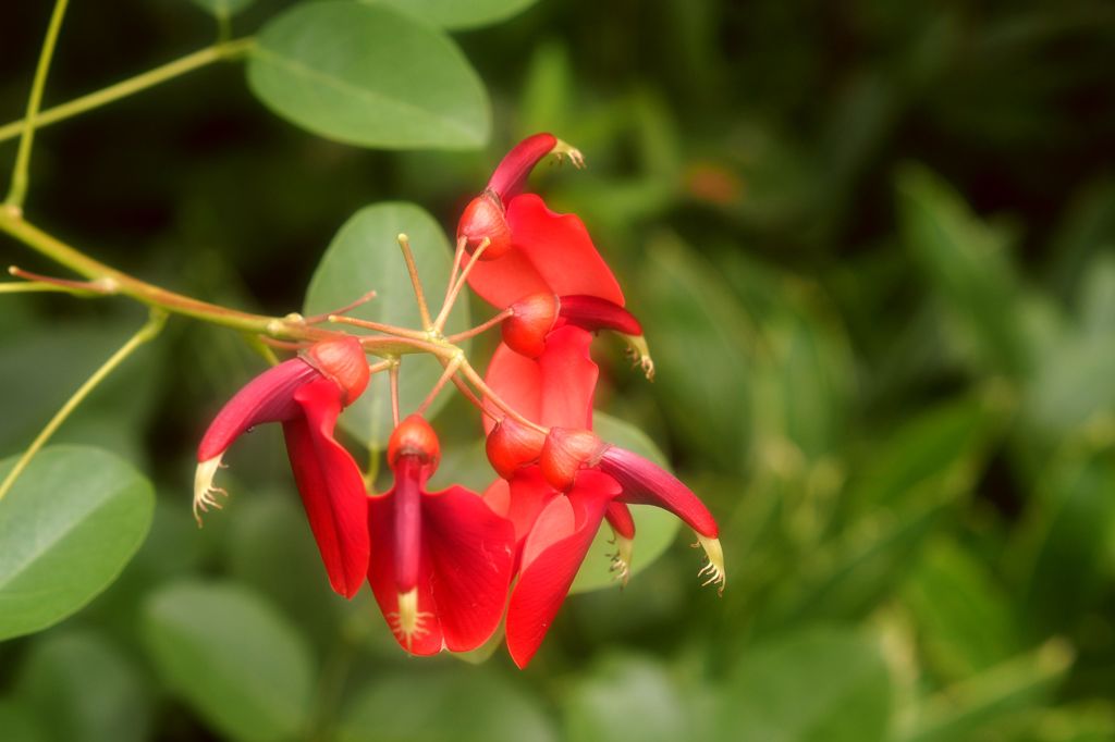 ほ～ら 眠くなってきたでしょ～