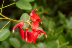 ほ～ら 眠くなってきたでしょ～