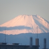 ミラーレンズで富士山