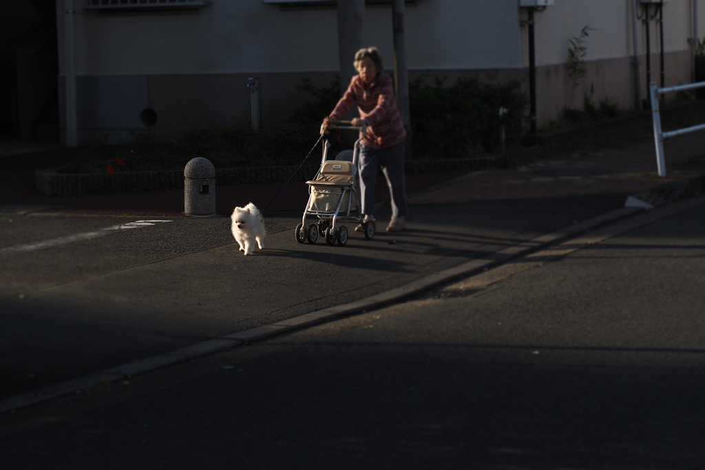 試写：Industar-61 L/D 55mm F2.8