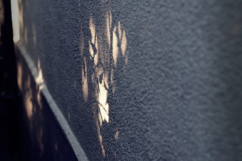 やっと辿り着いた