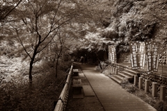 「どうしよう」「かまやしね～よ」 深大寺編