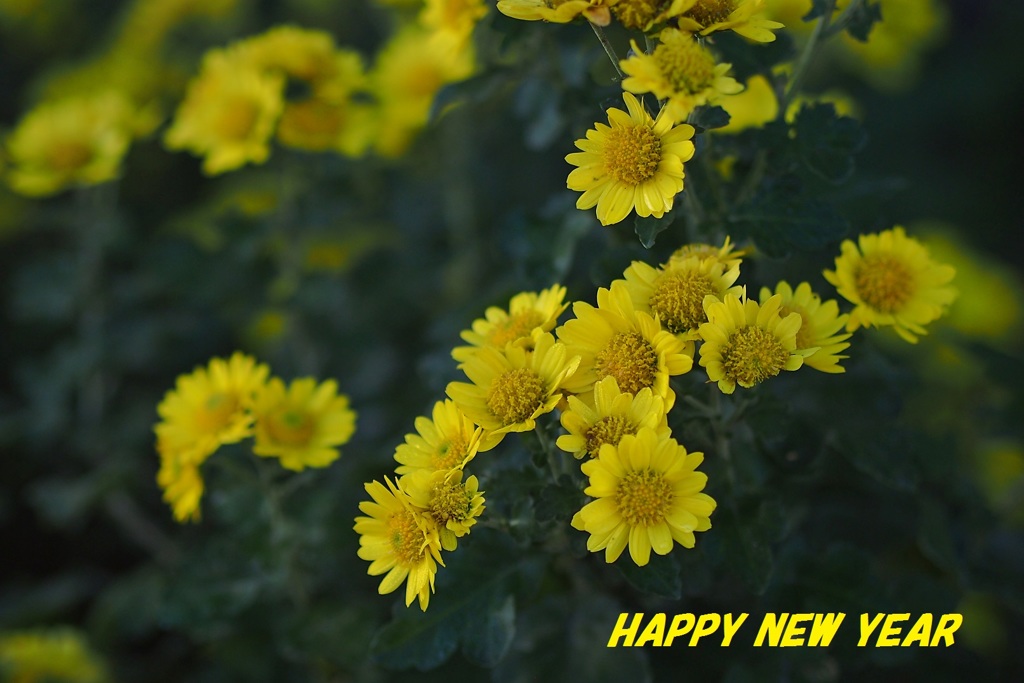 Aを付けてはいけません