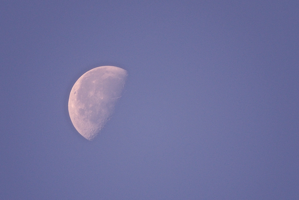 たった今 寂しげな月が…