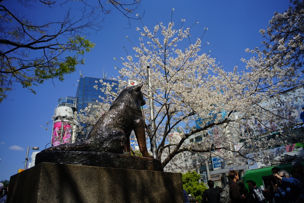 Waiting for Professor Ueno