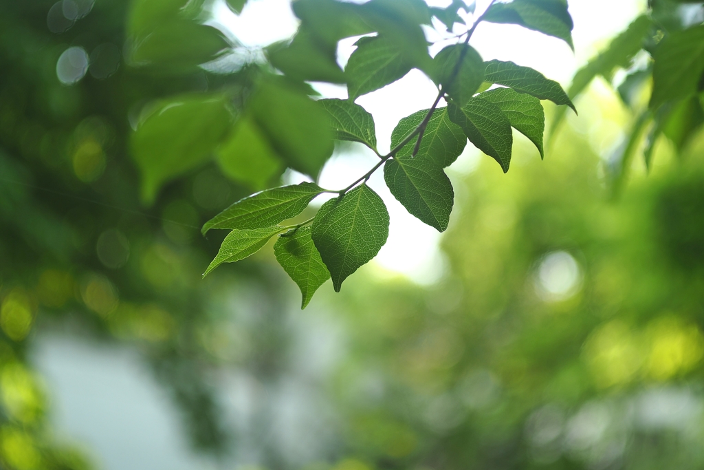 世界はこんなに美しい