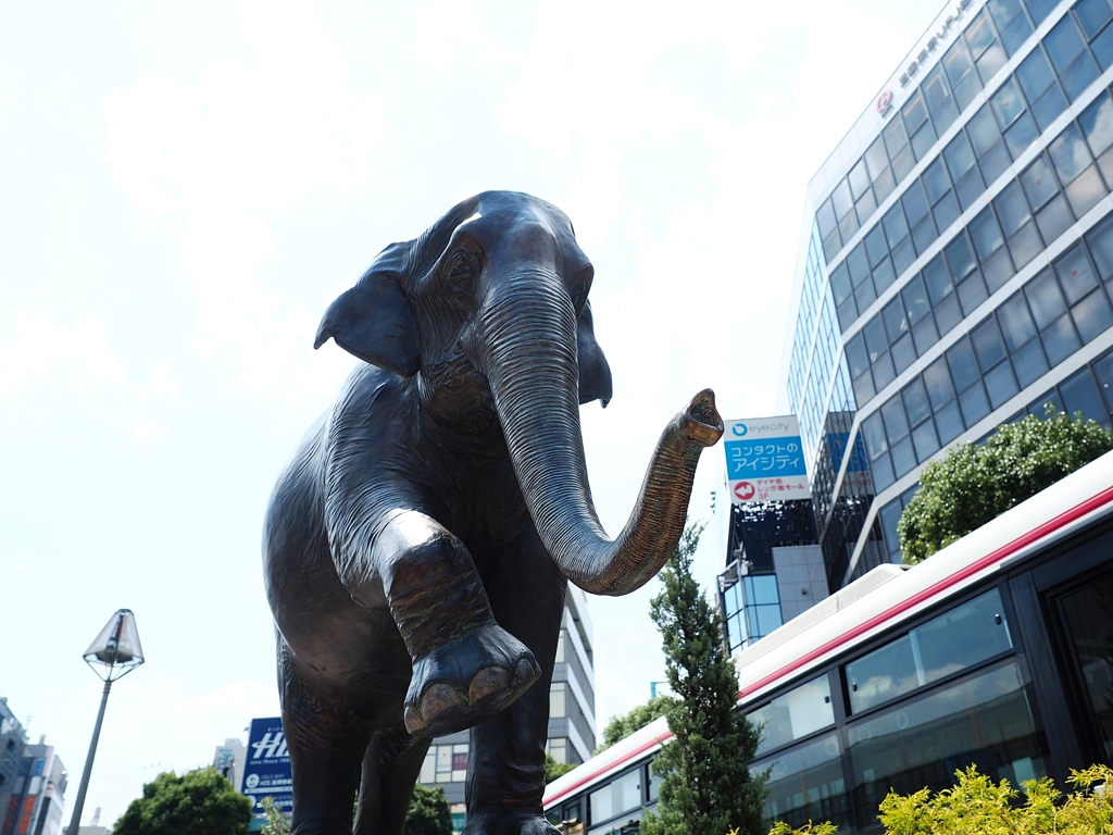 はな子に逢ってきた♪