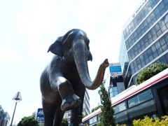 はな子に逢ってきた♪