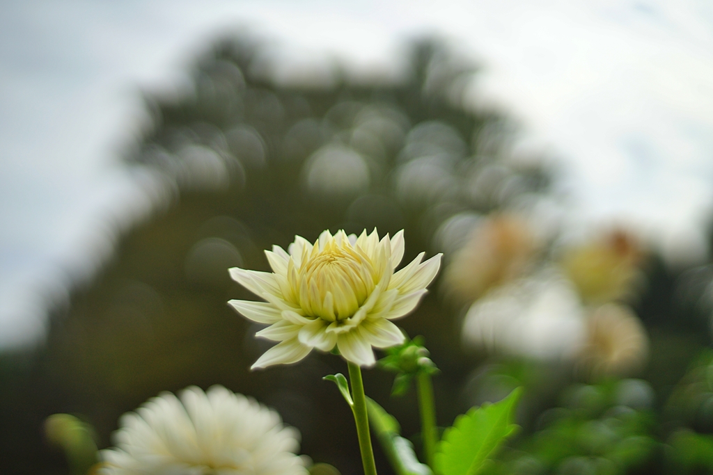 背後に忍び寄るモノ