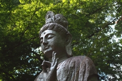 菩薩 僅かにグルグル
