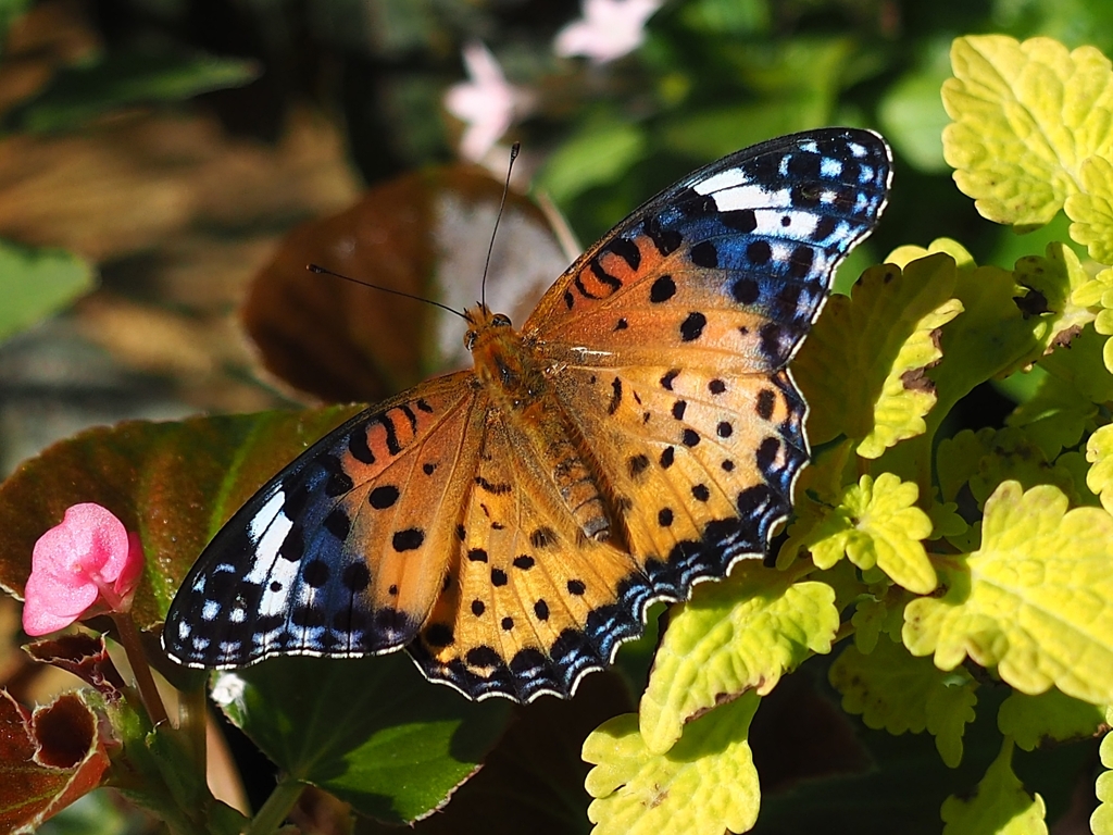 写真撮影とは本来トリミングを前提に行うべきものではない