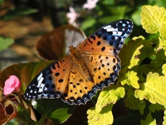 写真撮影とは本来トリミングを前提に行うべきものではない