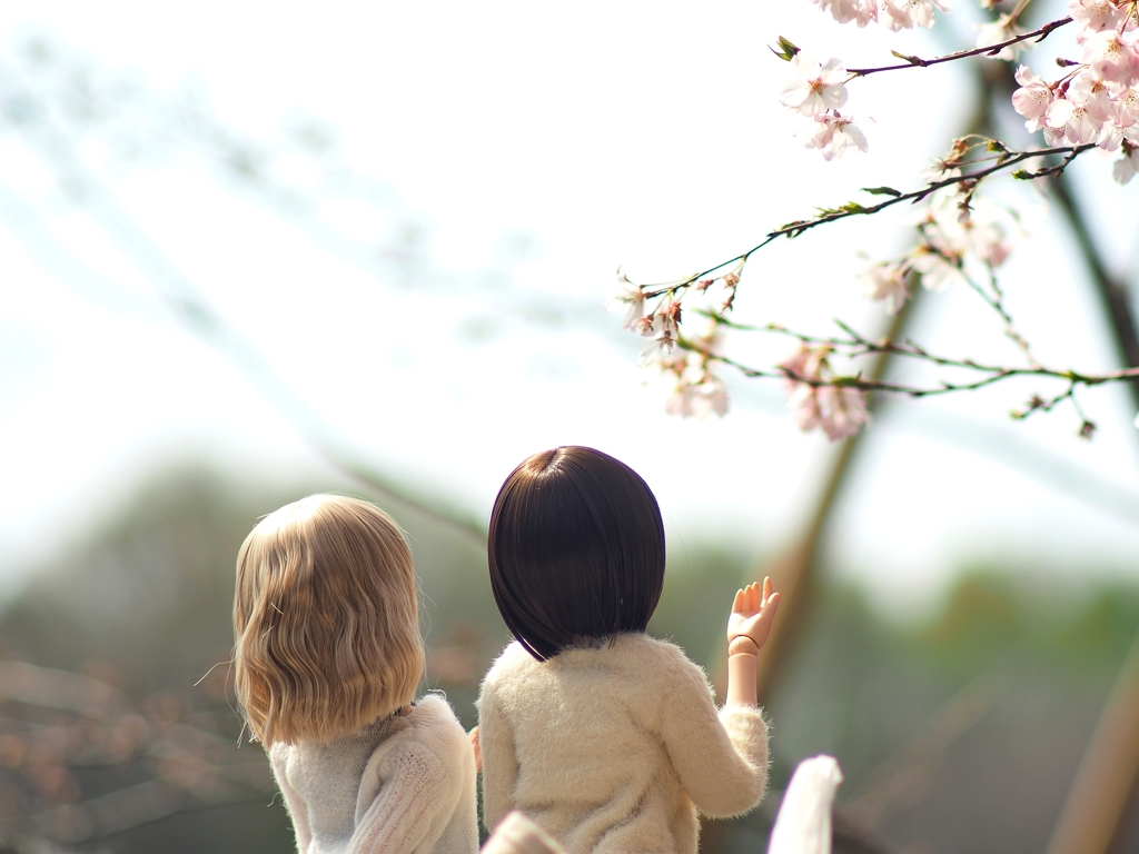 フィギュア撮ってもいいですか？