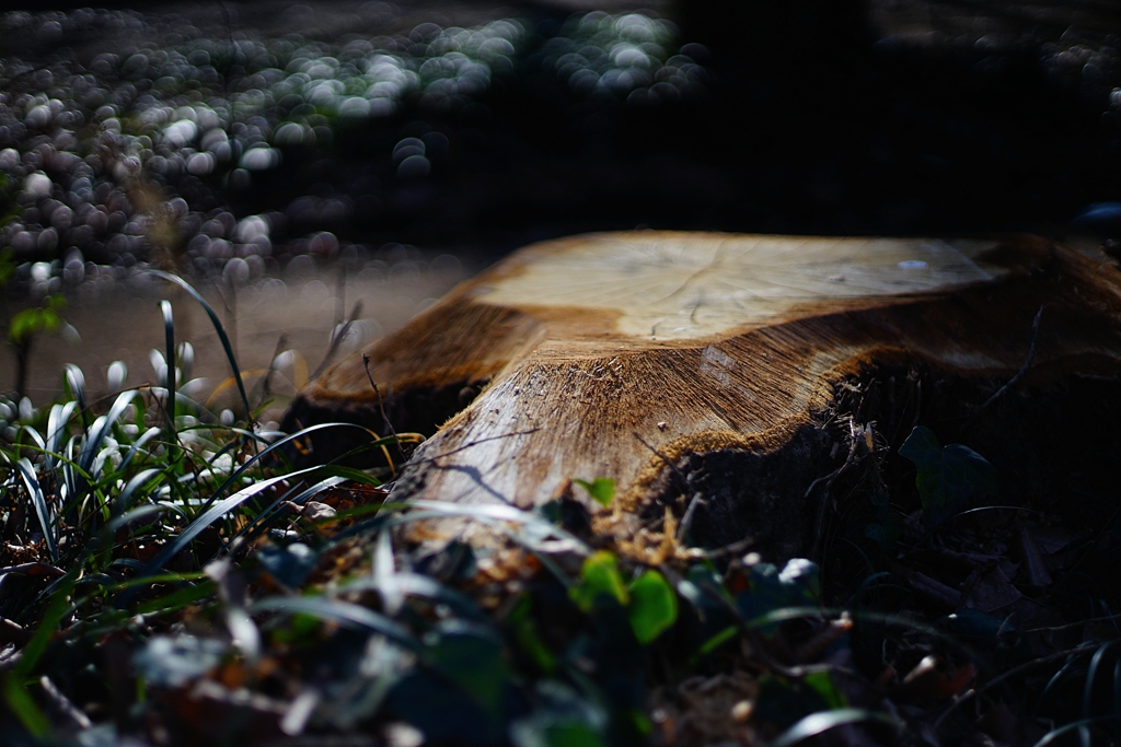 台風19号の痕跡