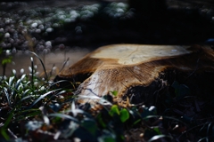 台風19号の痕跡