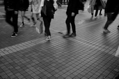 暗くなるまで待って